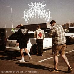 eastern cowbell experience