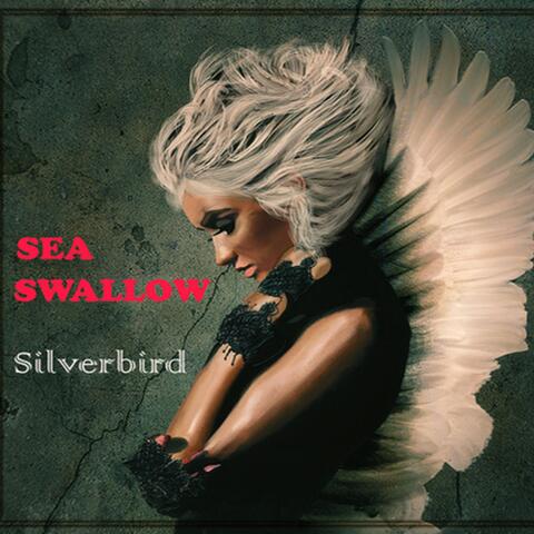 Silverbird