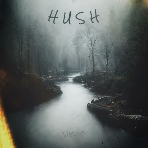 Hush