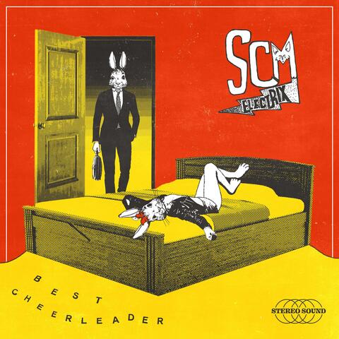 Scm Electrix