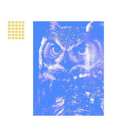 Fractals (feat. TAYLR)