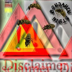 Disclaimer (feat. J.Hustles & drug$onwar)