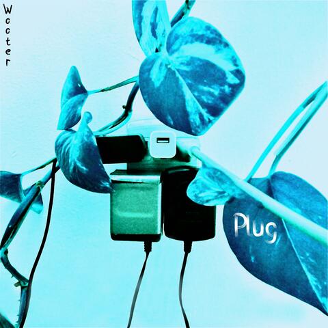 Plug