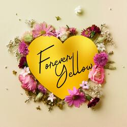 Forever Yellow
