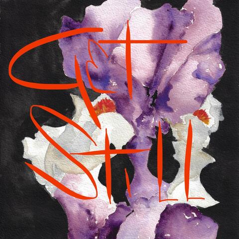 Transitions / Calm (Single)