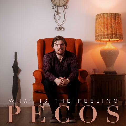 What is the Feeling