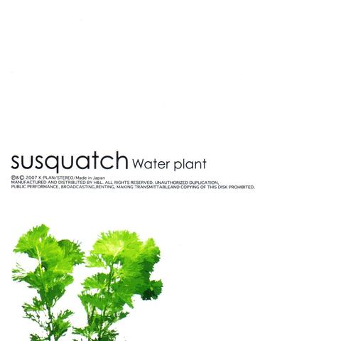 Water plant