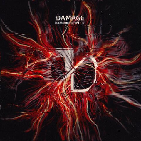 Damage