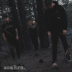 Sombra (feat. ZVY., Darias & Callouz)