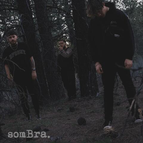Sombra (feat. ZVY., Darias & Callouz)