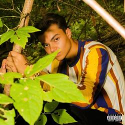Whatever (feat. Lerado Khalil)