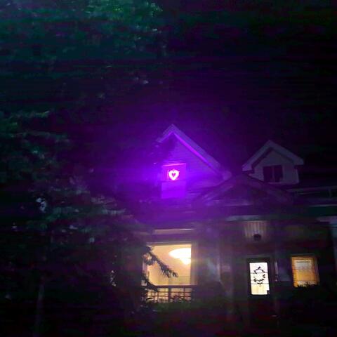 in the dark