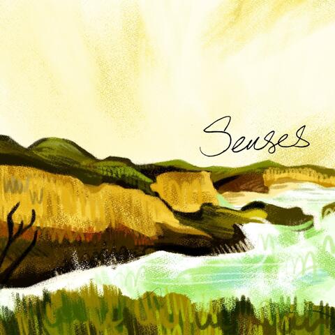 Senses