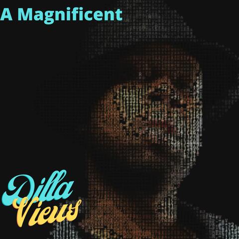 Dilla Views