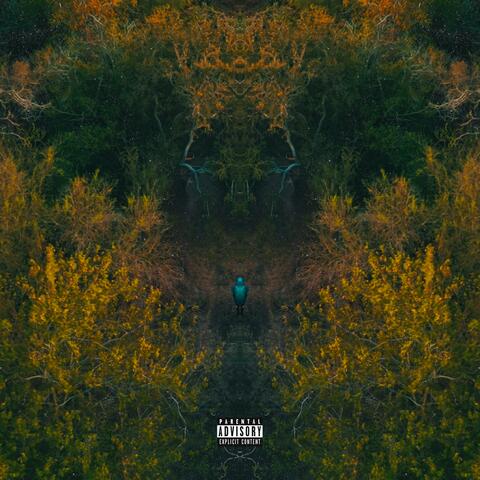 CLOSE CALL (feat. SoGone SoFlexy & Scotty Maverick)