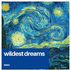 wildest dreams