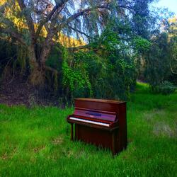 Dissociation (feat. ADD)