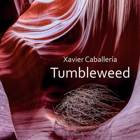 Tumbleweed