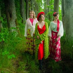 Dancot māku (Salnavas dziesma)