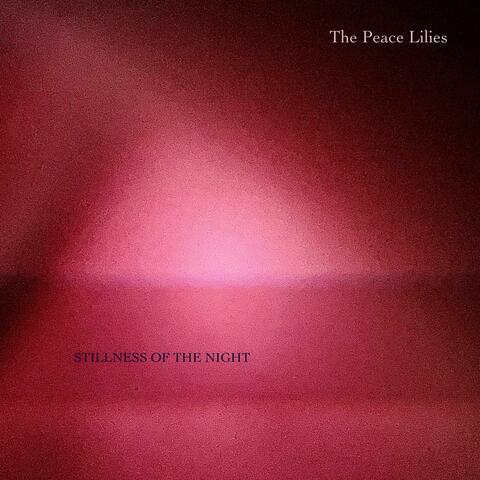 Stillness of the Night