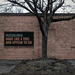 The Nefarico™ Rewards Program Is Not Endorsed by the Hussalonia Founder
