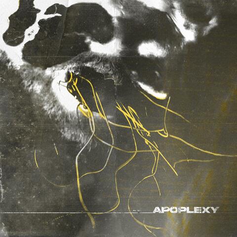 Apoplexy