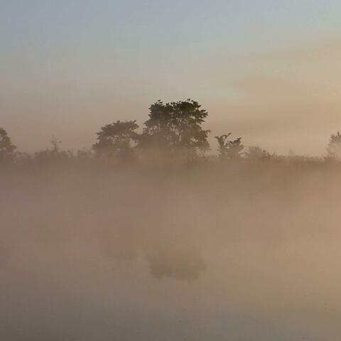 The River