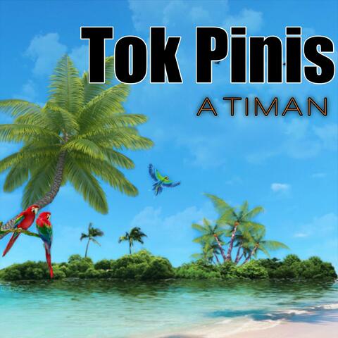 Tok Pinis