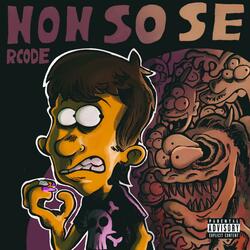 NON SO SE