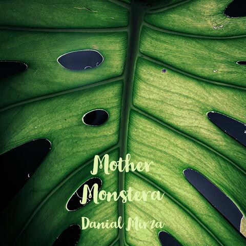 Mother Monstera