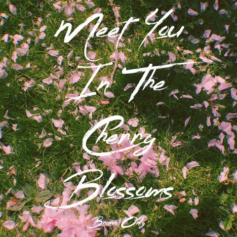 Meet You In The Cherry Blossoms