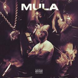 Mula (feat. Safwen & ZiYou)