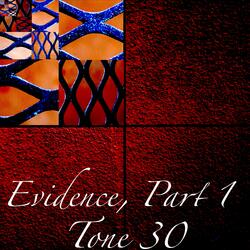 Evidence, Pt. 1
