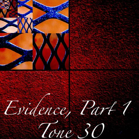Evidence, Pt. 1