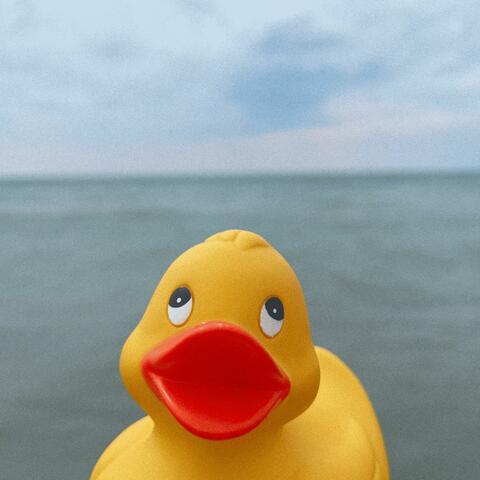 Duck Simulator 2 (Original Game Soundtrack)