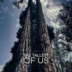 The Tallest of Us