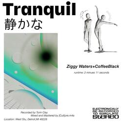 Tranquil (feat. Ziggy Waters)