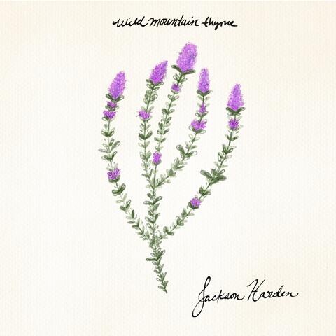 Wild Mountain Thyme