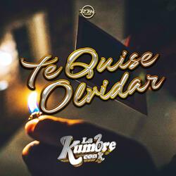 Te Quise Olvidar