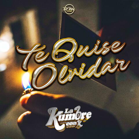 Te Quise Olvidar
