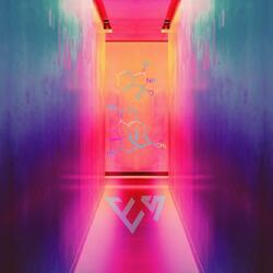 Love And Madness (feat. Kali Dreamer)