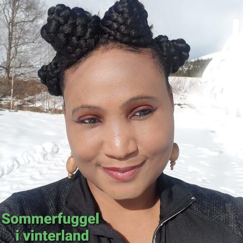 Sommerfuggel i vinterland