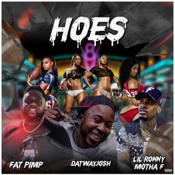 HOES (feat. lil ronny mothaf & fat pimp)