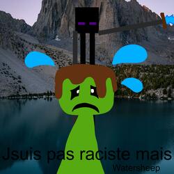 Je suis pas raciste mais...