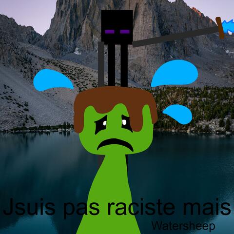 Je suis pas raciste mais...