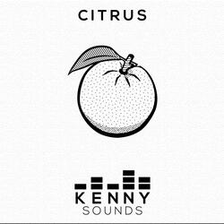 Citrus | Hard Emotional RnB Beat