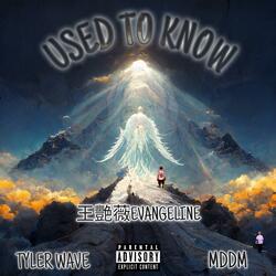 Used to know (feat. MDDM & Tyler Wave)