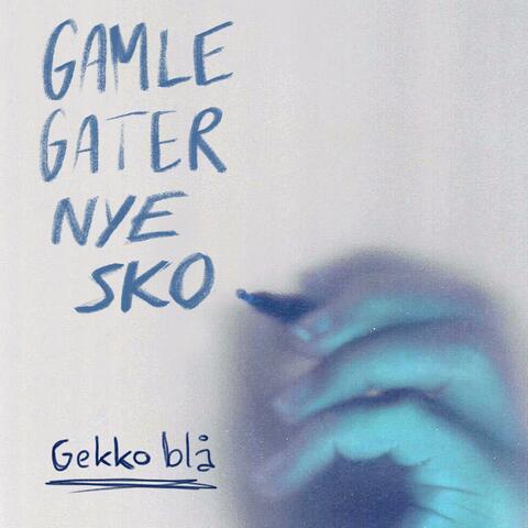Gamle Gater Nye Sko