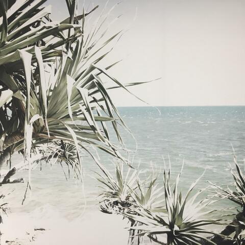 Love On The Beach