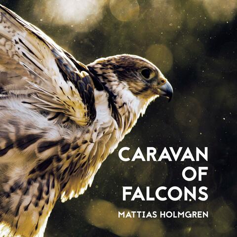 Caravan Of Falcons